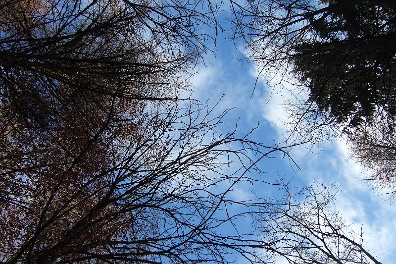 2009-12- (257).JPG - Und es blaut so blau - gerade im Winter